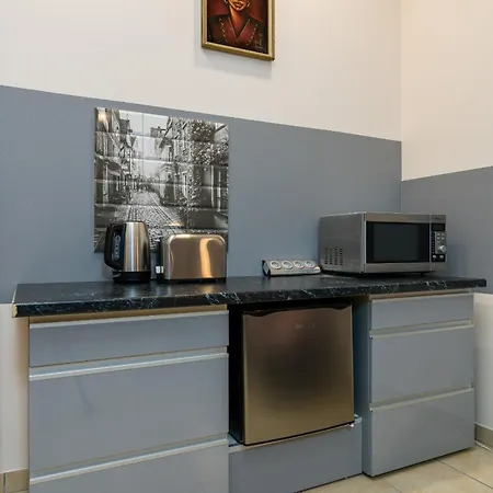 Downtown Family Shopping Street Polwiejska By Renters *